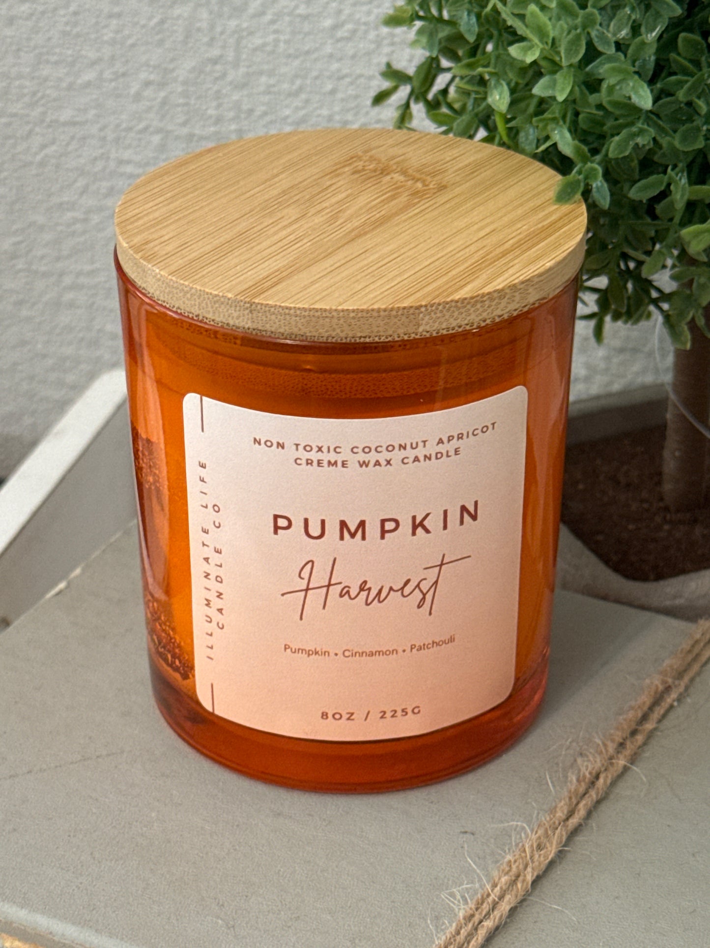 "Pumpkin Harvest" Illuminate Life Candle