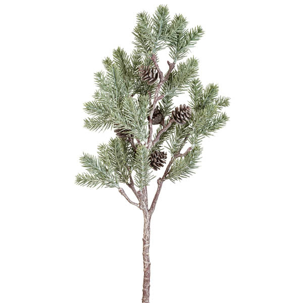 Large Pine branch with Cones