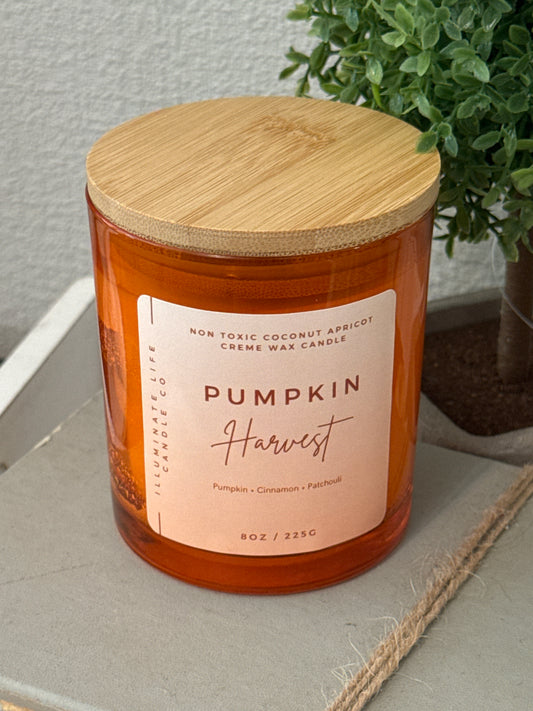 "Pumpkin Harvest" Illuminate Life Candle