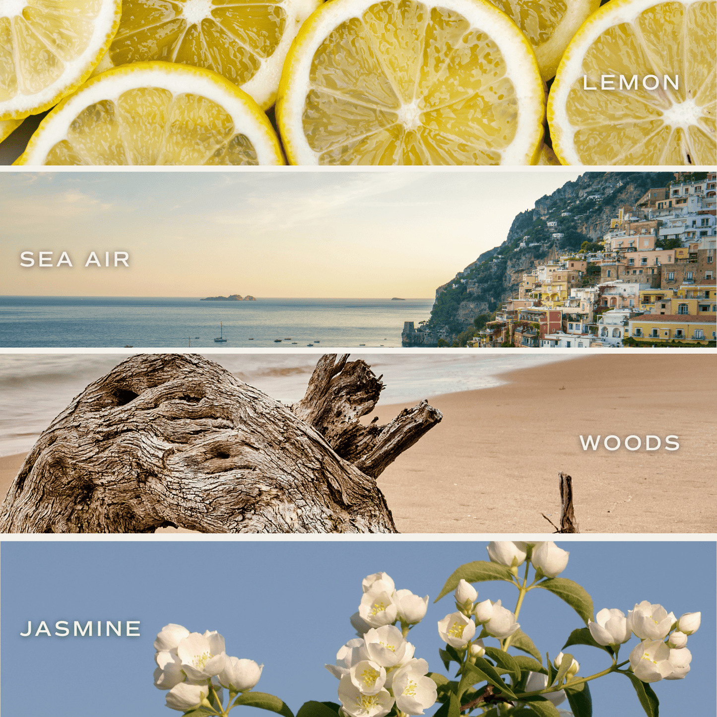 *NEW* Coastal Lemon Reed Diffuser - Gifts & Home Decor