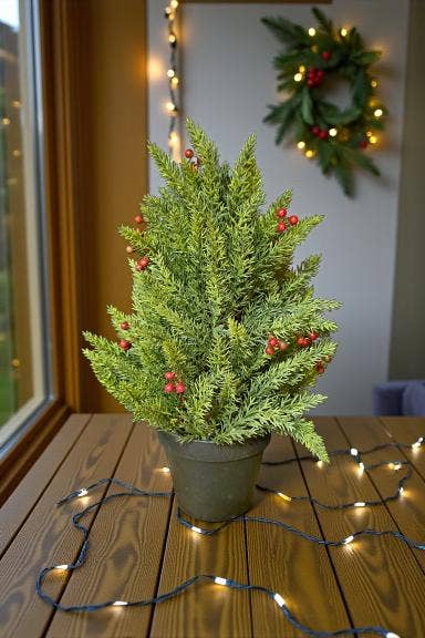 Large Evergreen Berry Pot 17in