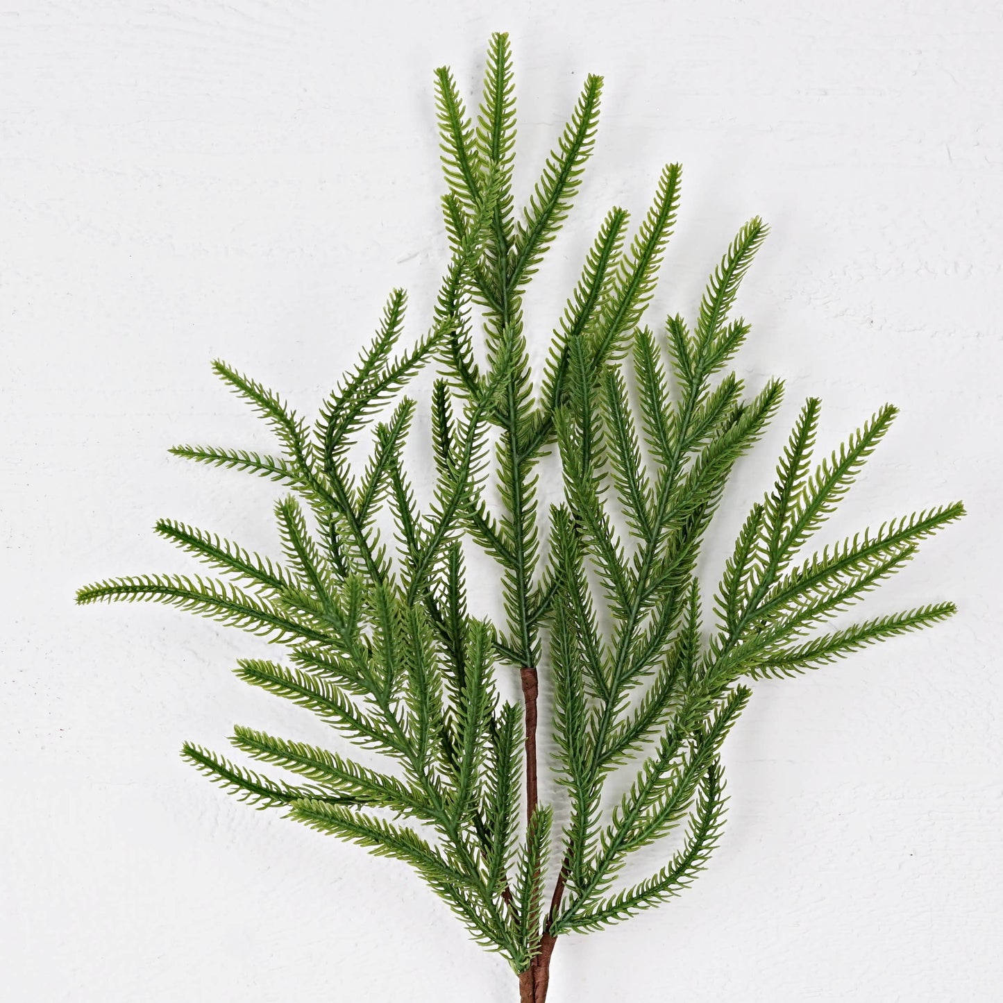 24 Inch Soft touch Evergreen Norfolk Pines Spray