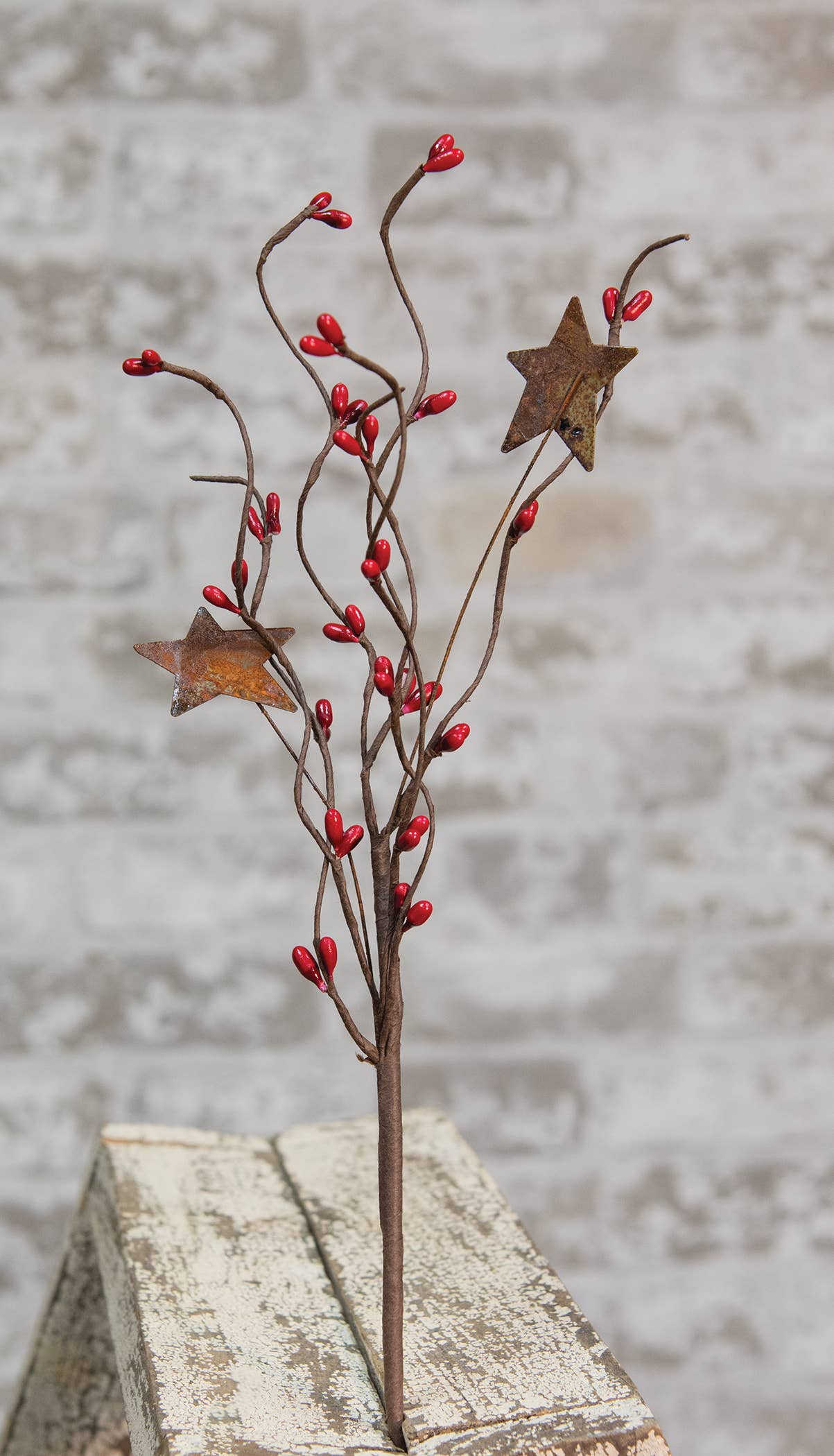 Red Pip  & Star Pick  12"