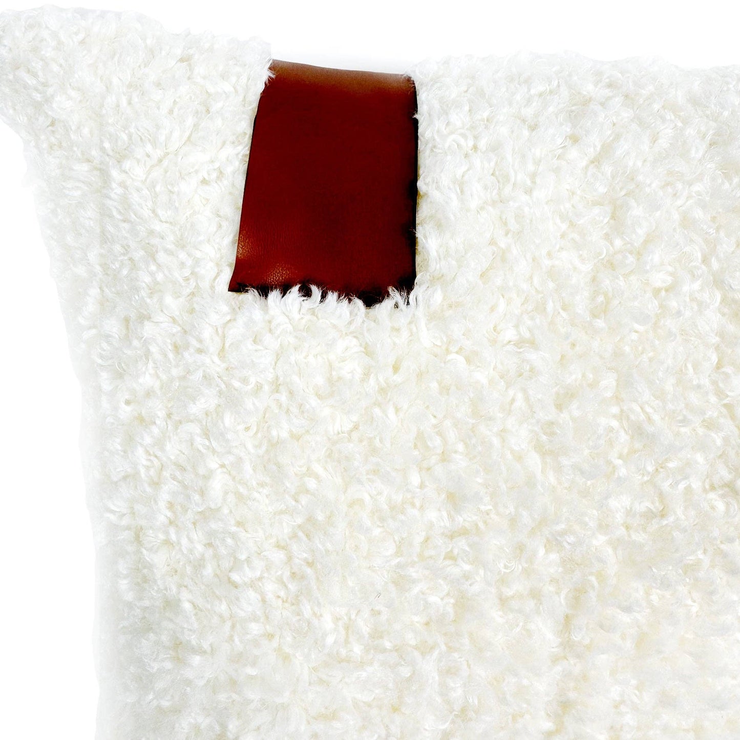 Cozy Teddy Throw Pillow, White