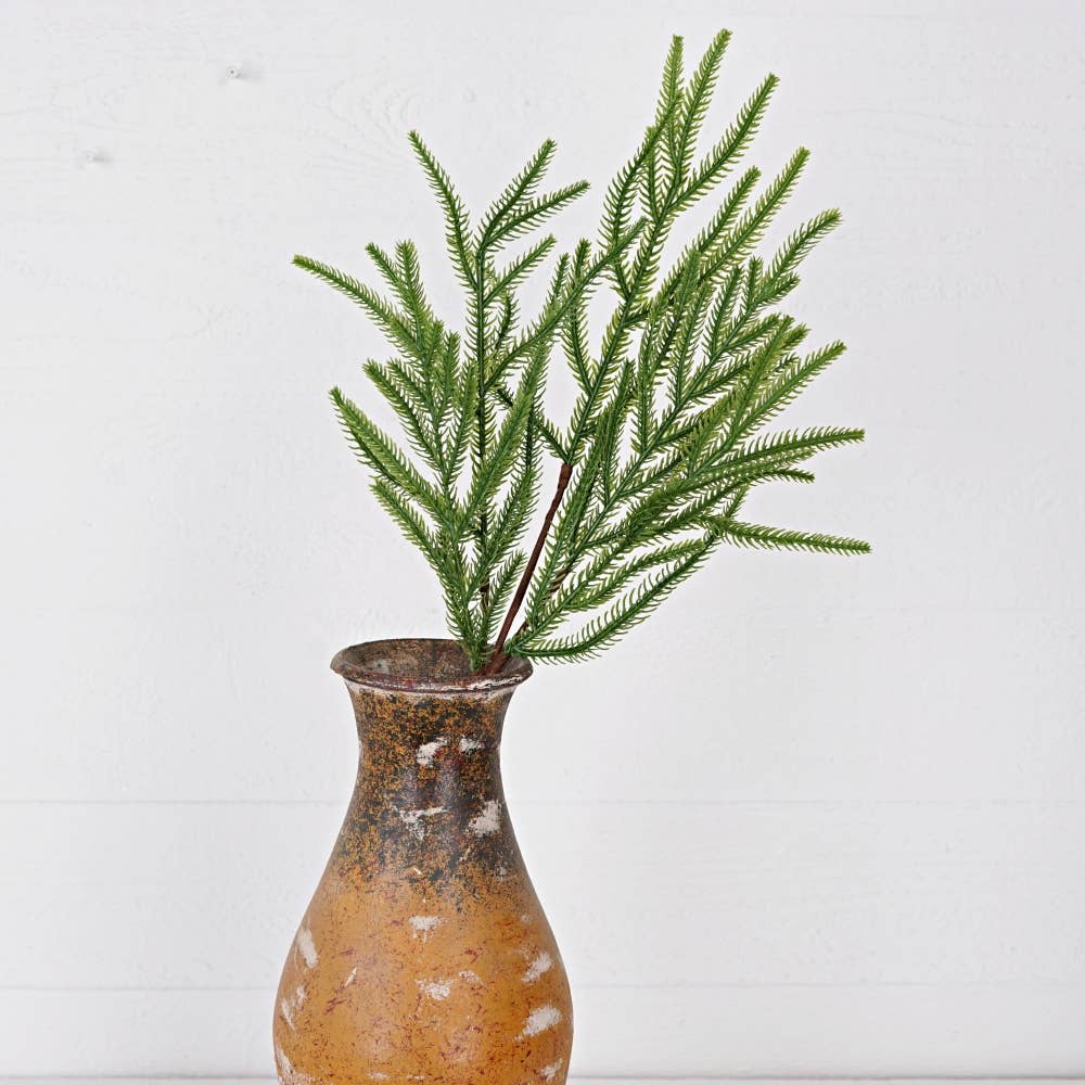 24 Inch Soft touch Evergreen Norfolk Pines Spray