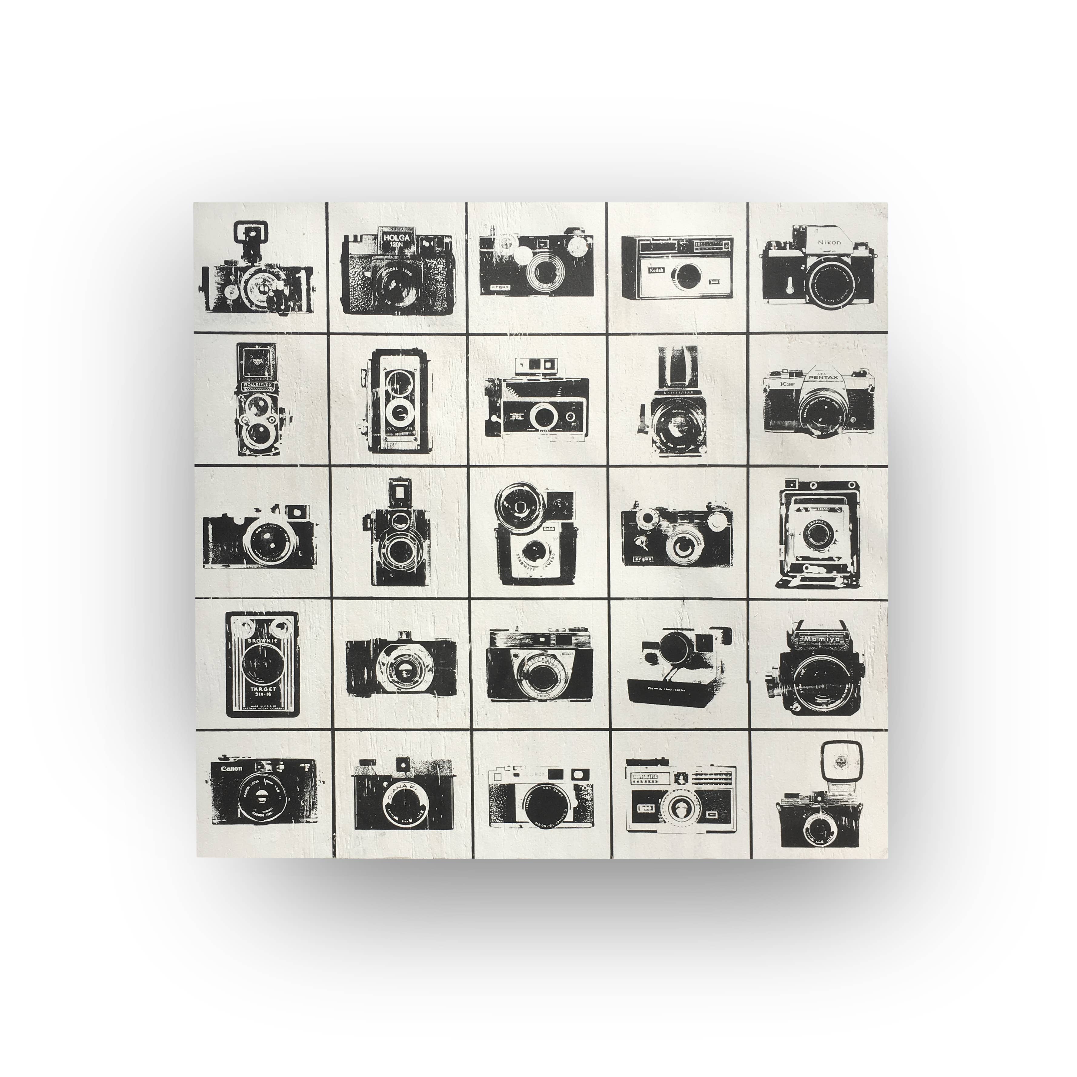 Camera Coll Vintage Camera Collage 20 x 20 – RusticHappiness