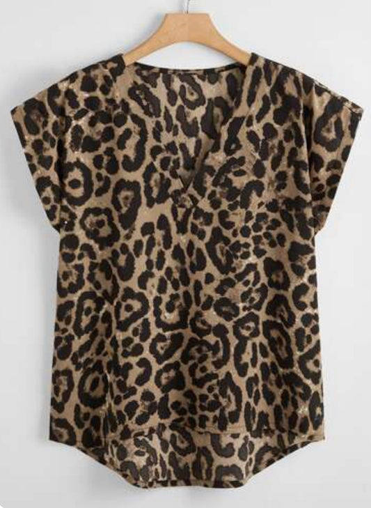 Leopard Print Hi-Low Short Sleeve Blouse