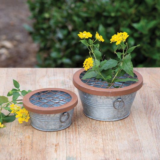 Set of Rustic Flower Frog Pails