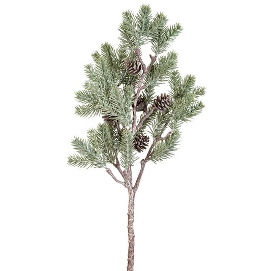 SALE Large Pine branch with Cones