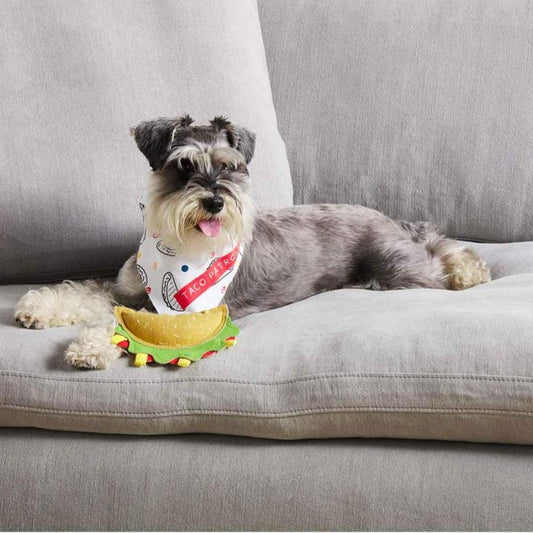 Taco Patrol Pet Toy & Bandana Set